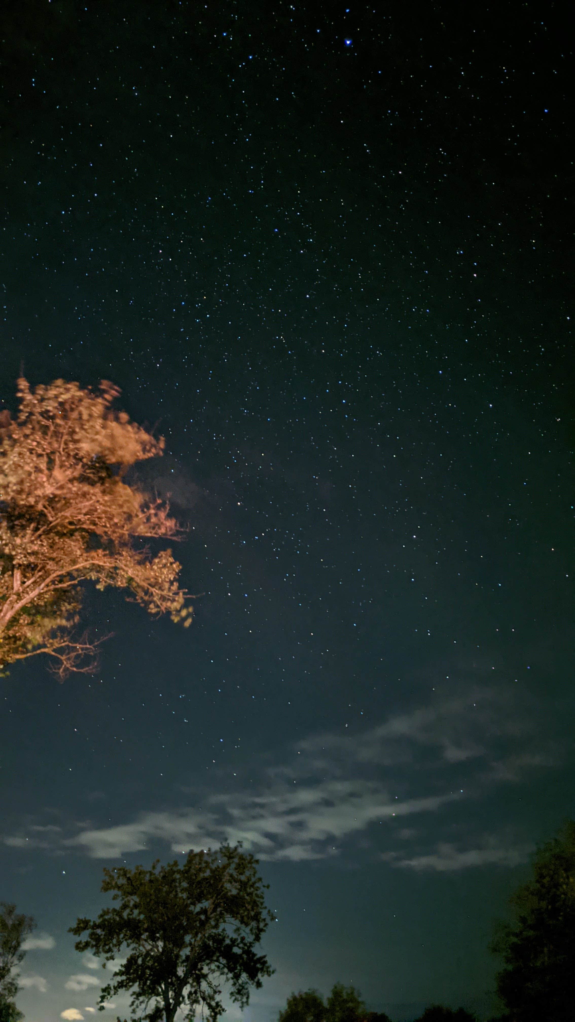 Camper-submitted photo at Selkirk Shores State Park Campground near Orwell, NY