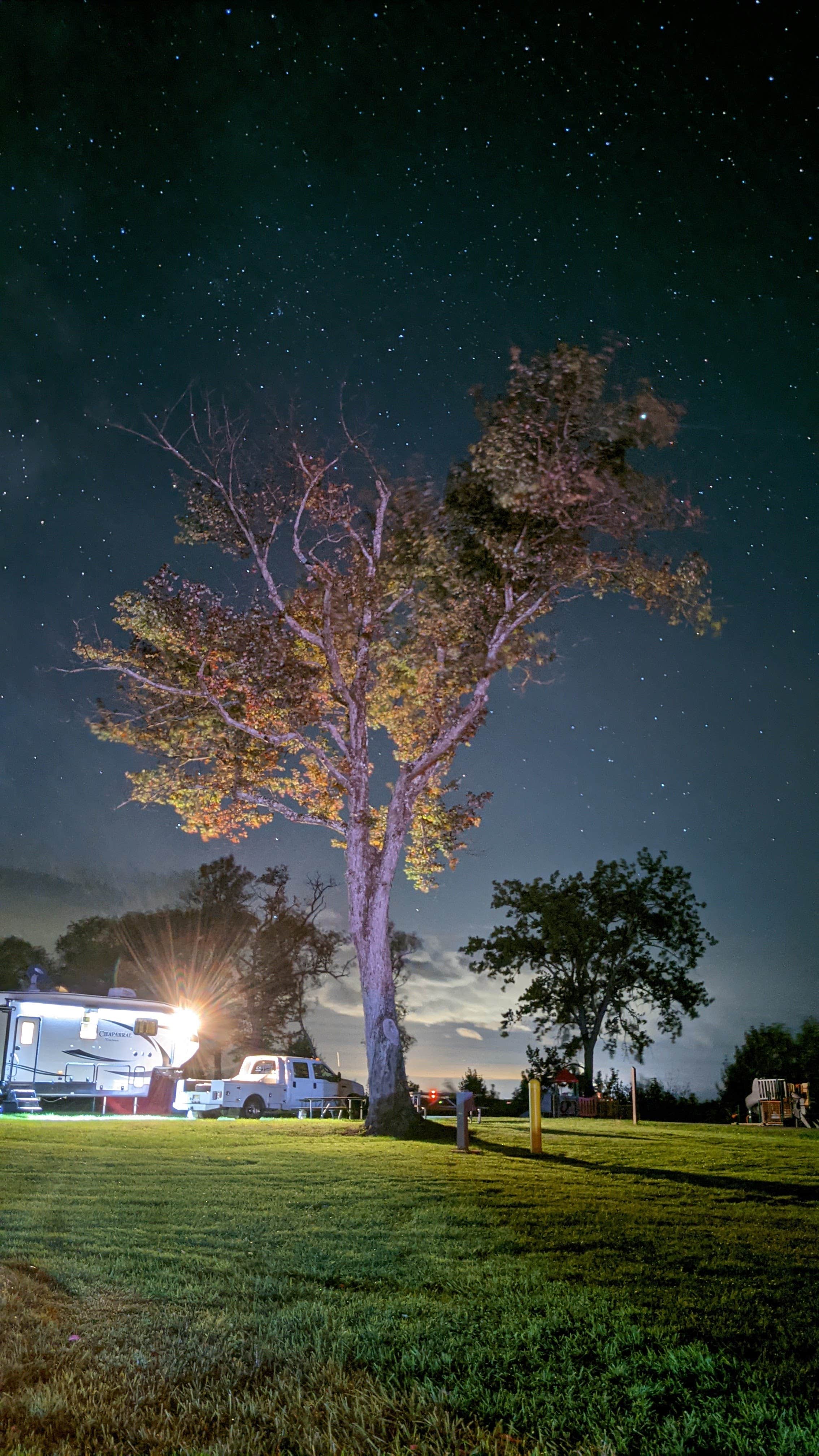 Camper submitted image from Selkirk Shores State Park Campground - 1