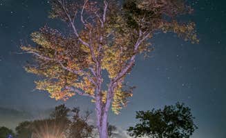 Vito M.'s photo of rv camping at Selkirk Shores State Park Campground near Rodman, NY