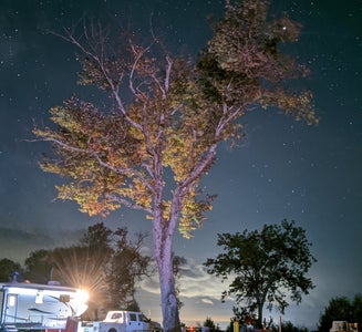 Camper-submitted photo from Selkirk Shores State Park Campground