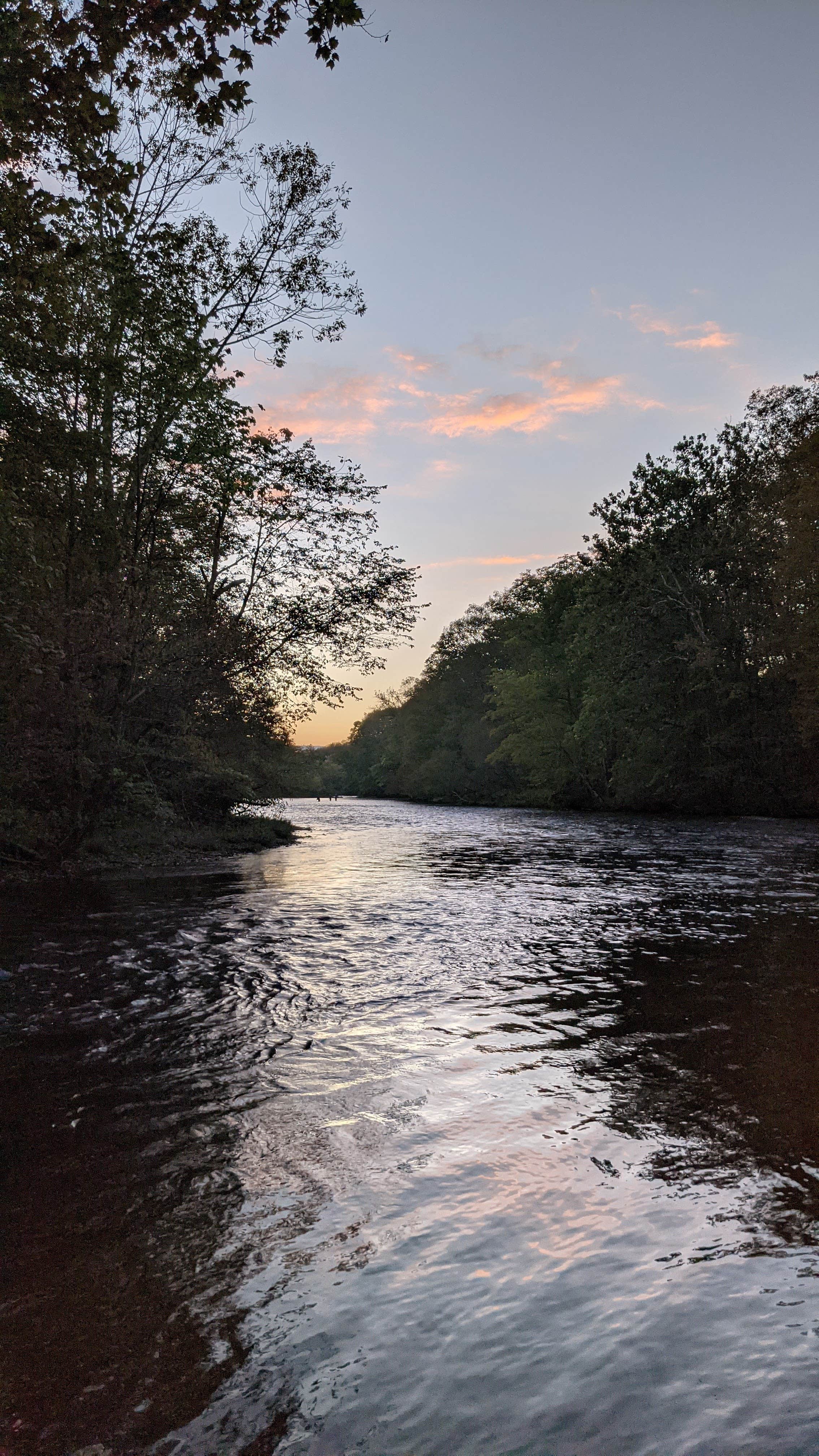 Camper submitted image from Stoneys Pineville Campground - 2