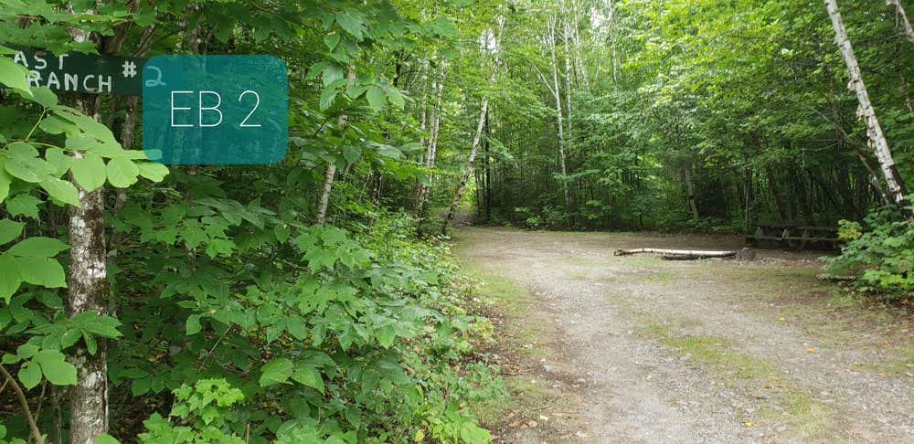 Camper submitted image from East Branch Pleasant River in KI Jo Mary Multi-use Forest - 2