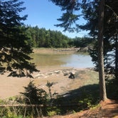 Review photo of Cobscook Bay State Park Campground by angie S., July 8, 2018