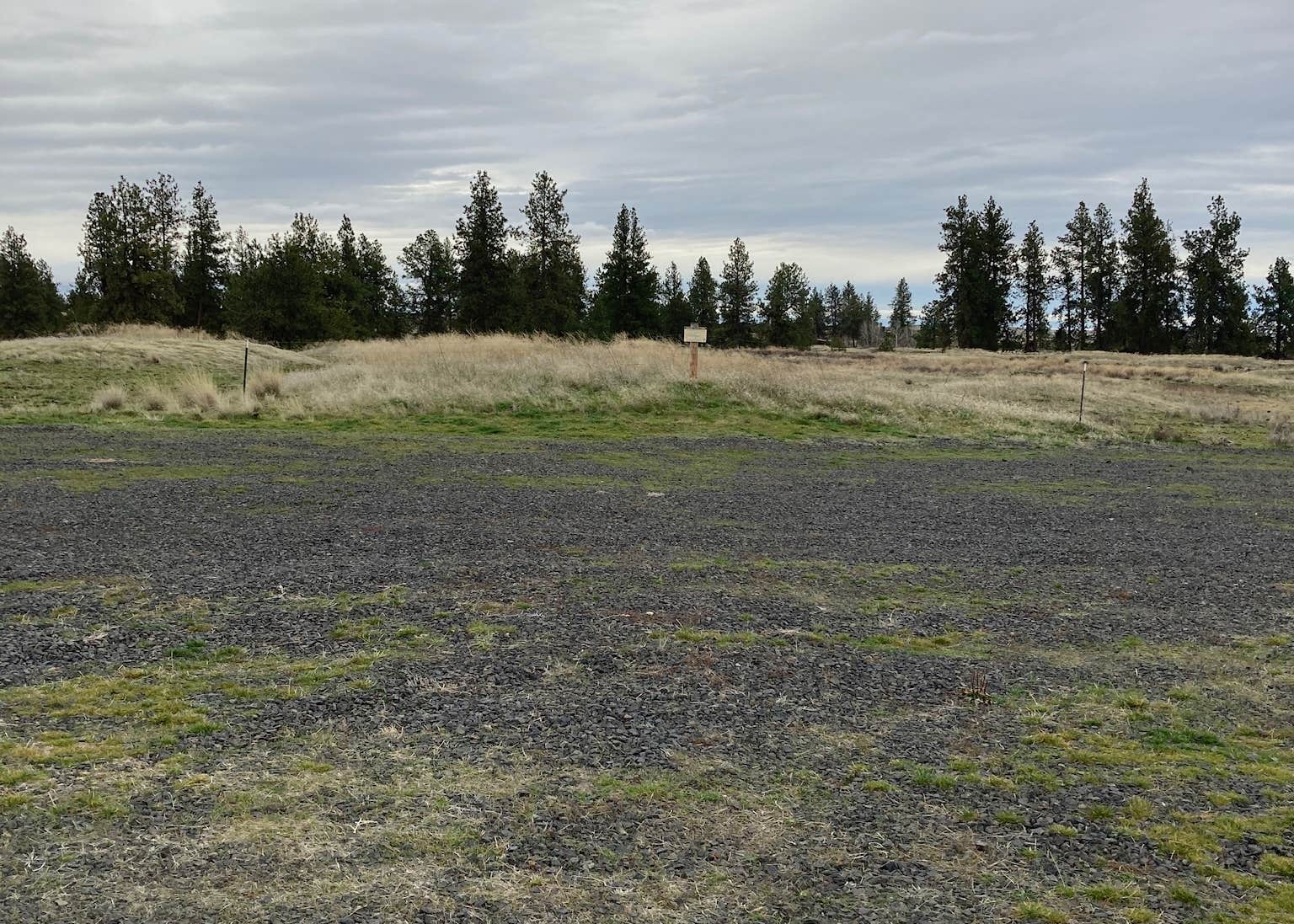 Fishtrap Recreation Area Camping The Dyrt