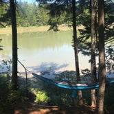 Review photo of Cobscook Bay State Park Campground by angie S., July 8, 2018