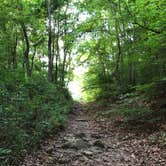 Review photo of Steel Creek Campground — Buffalo National River by Ashley K., July 8, 2018