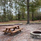 Review photo of Okefenokee Pastimes Cabins and Campground by Stuart K., December 1, 2021