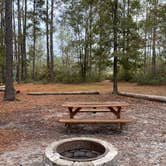 Review photo of Okefenokee Pastimes Cabins and Campground by Stuart K., December 1, 2021