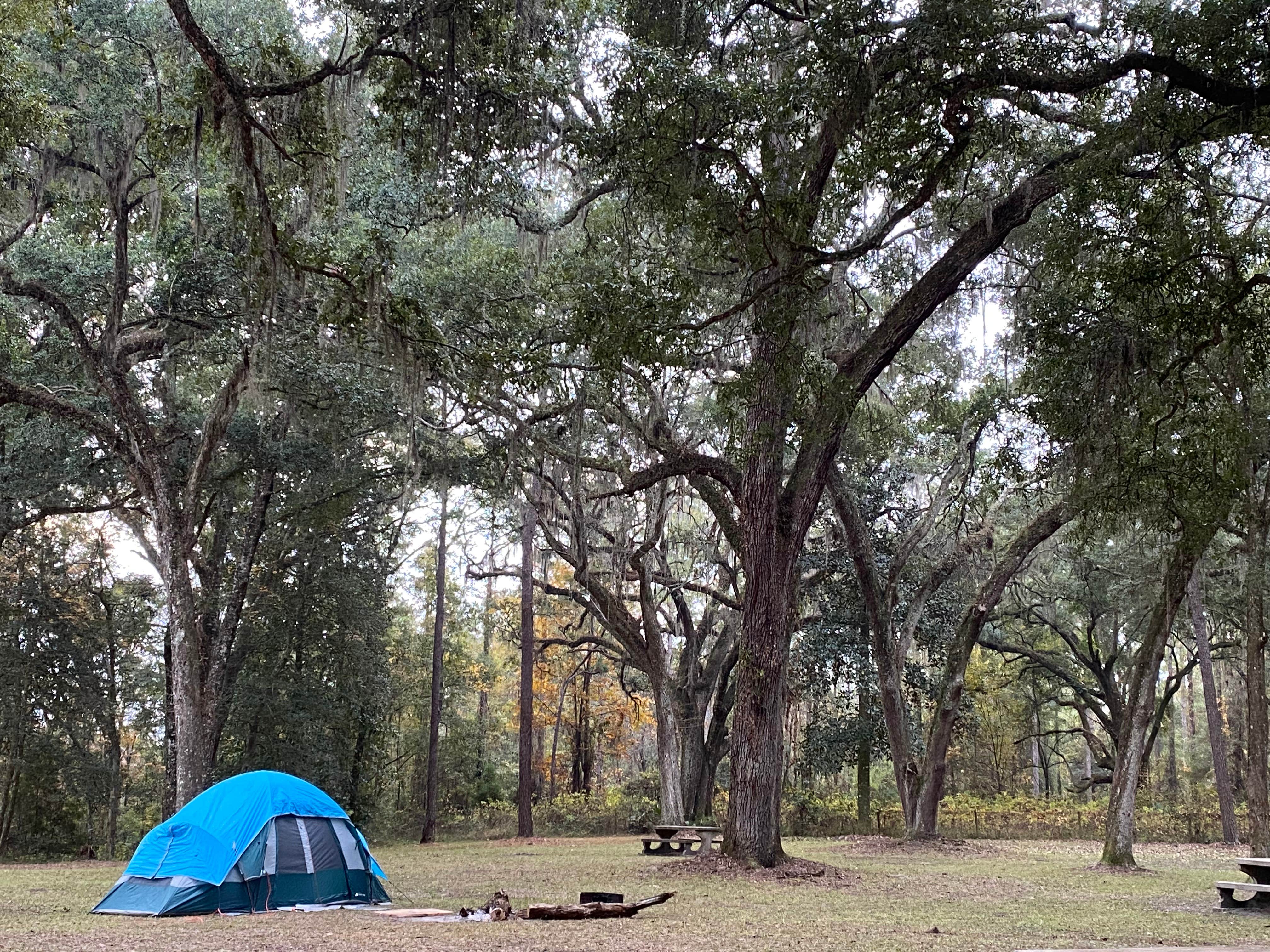 Camper-submitted photo at Traders Hill Campground near Folkston, GA