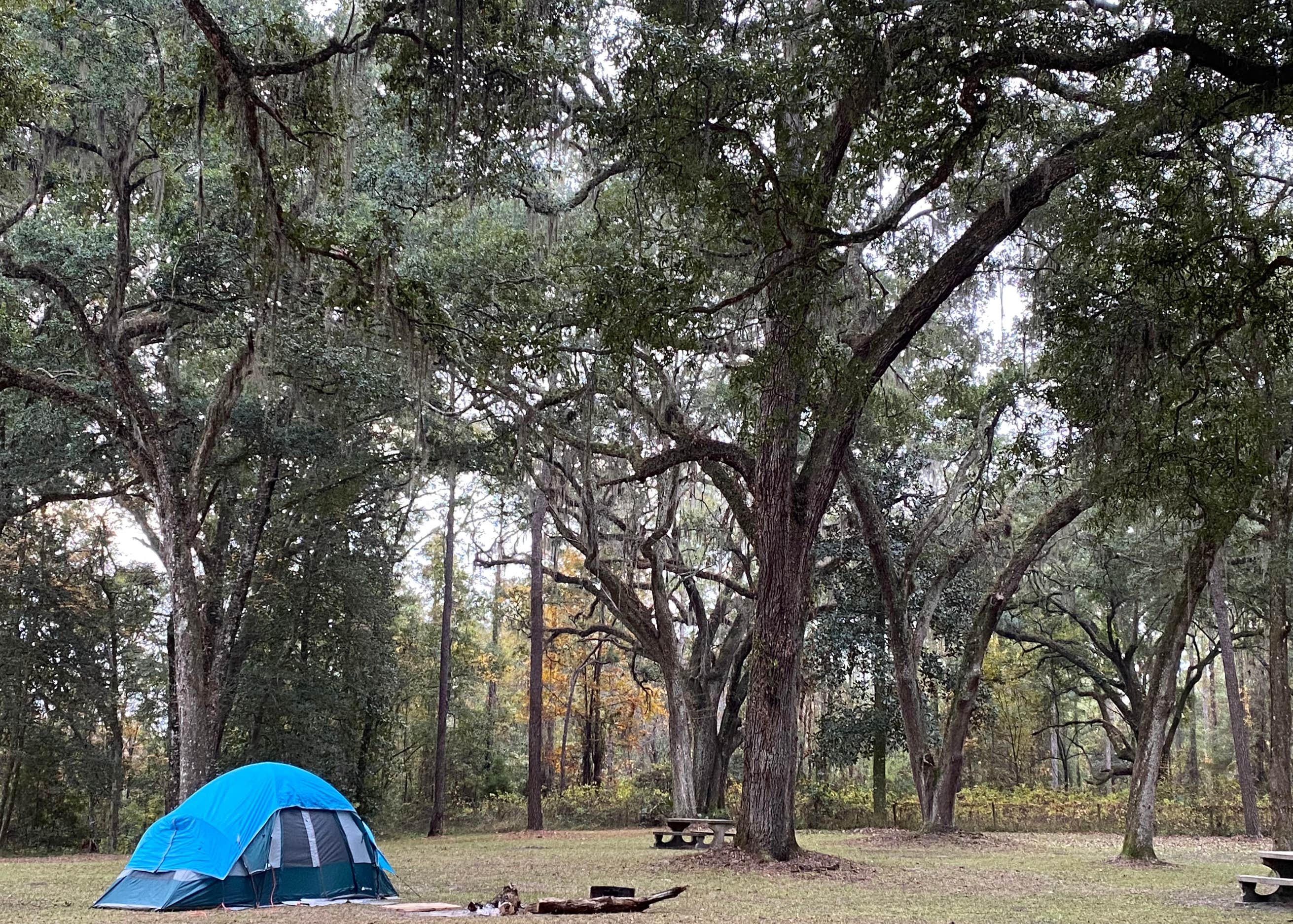 Traders Hill Campground Camping | The Dyrt