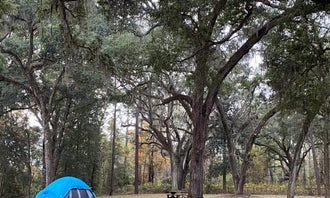 Camping near Okefenokee RV Park: Traders Hill Campground, Folkston, Georgia