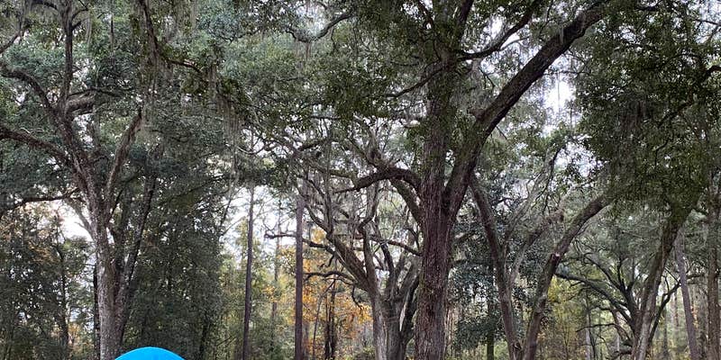 Camper submitted image from Traders Hill Campground