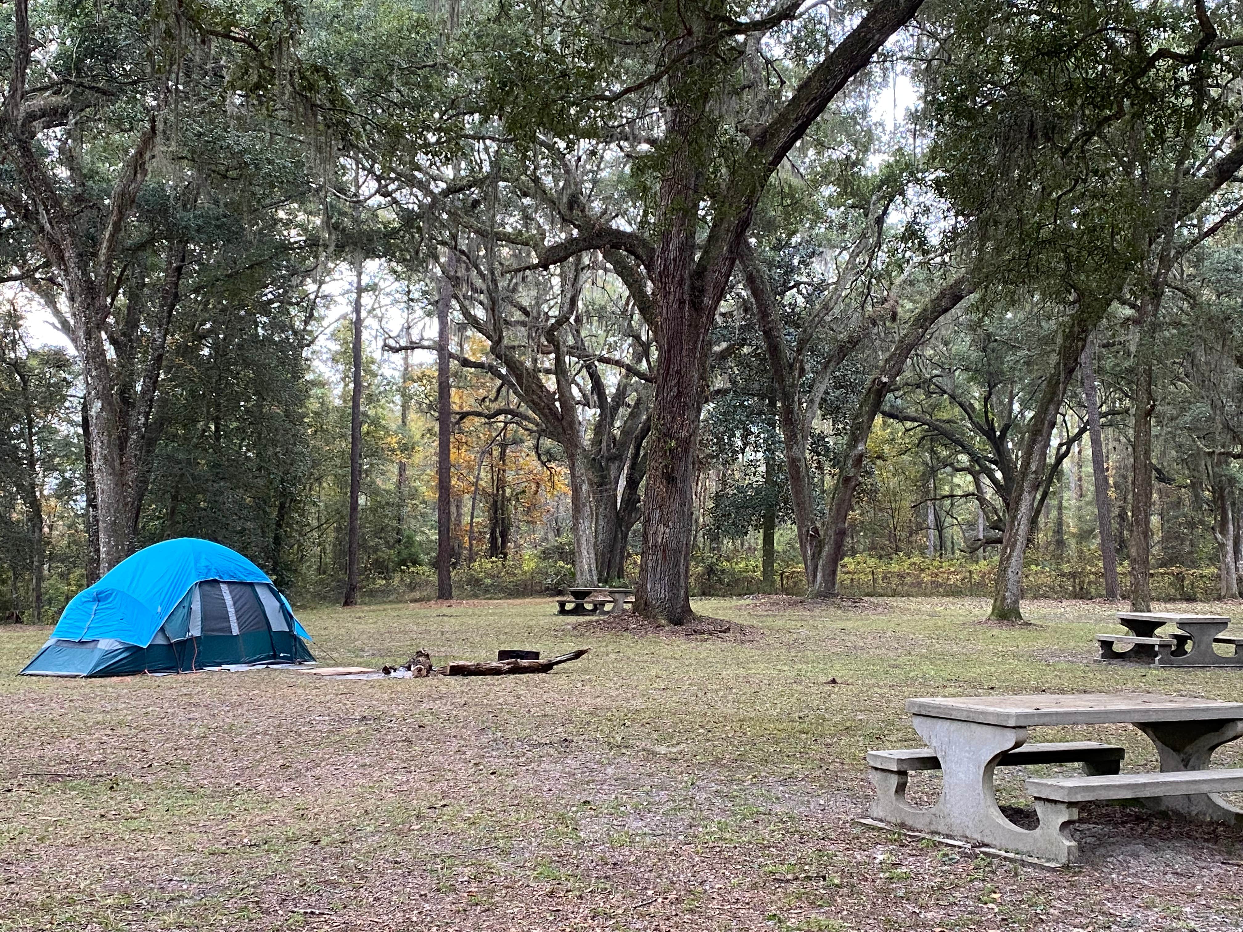 Camper-submitted photo at Traders Hill Campground near Folkston, GA