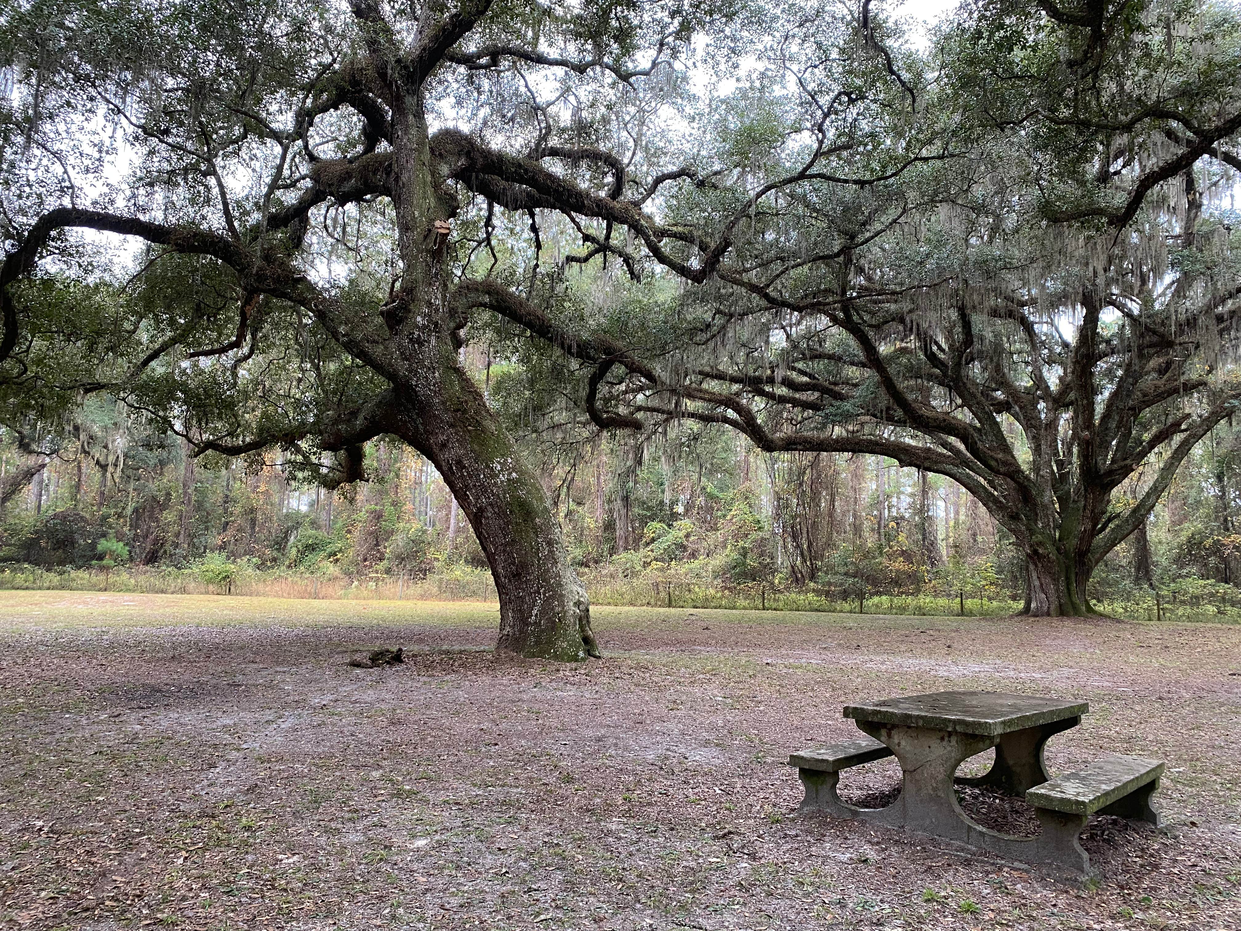 Camper-submitted photo at Traders Hill Campground near Folkston, GA
