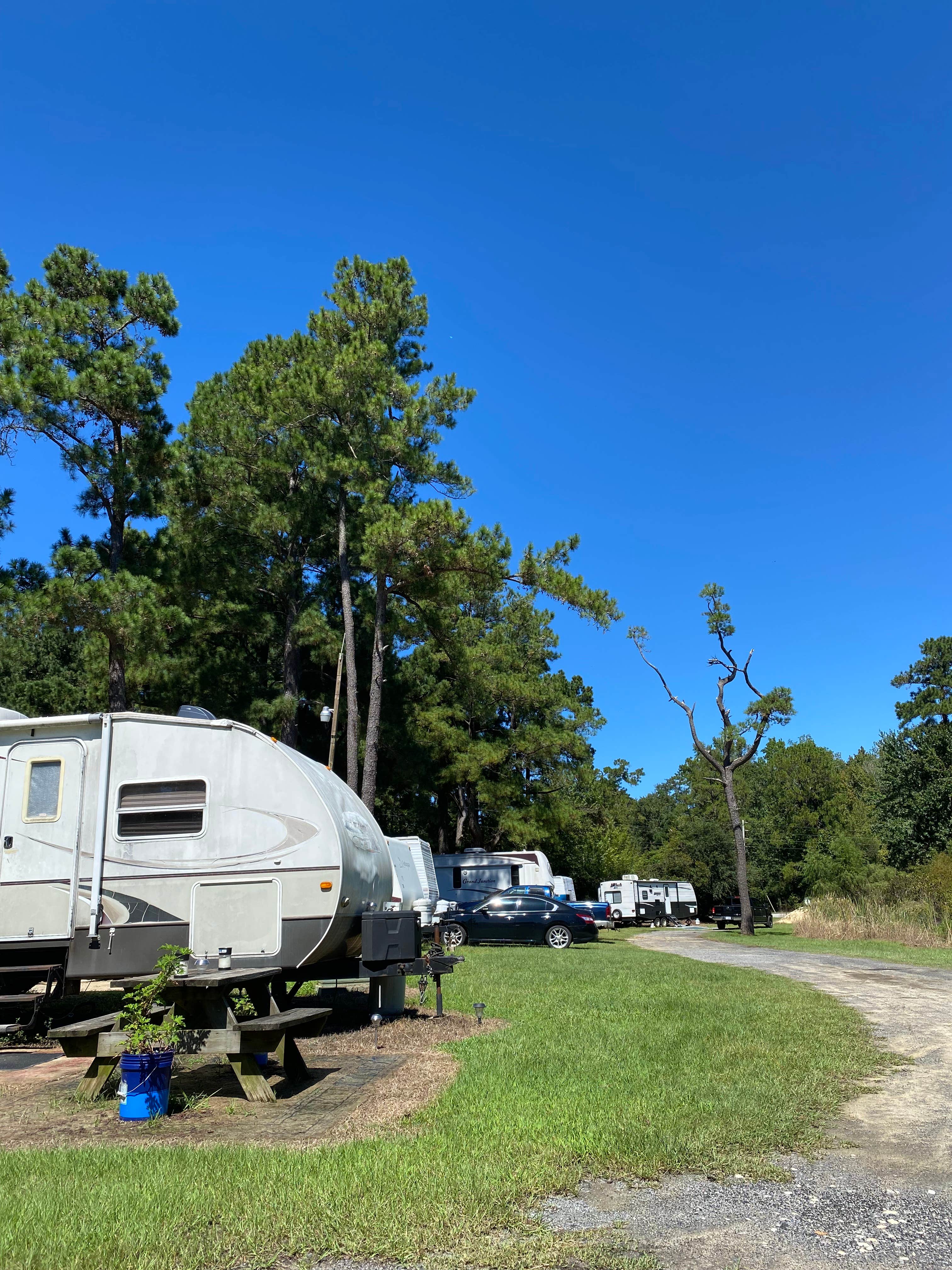 Camper-submitted photo at Johnston Landing Campground & Cabins near Drayton, SC