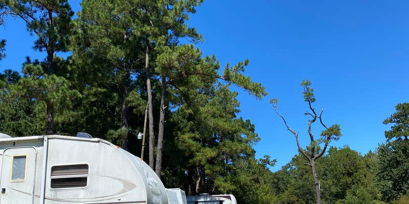 Camper submitted image from Johnston Landing Campground & Cabins