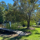 Review photo of Johnston Landing Campground & Cabins by Stuart K., December 1, 2021