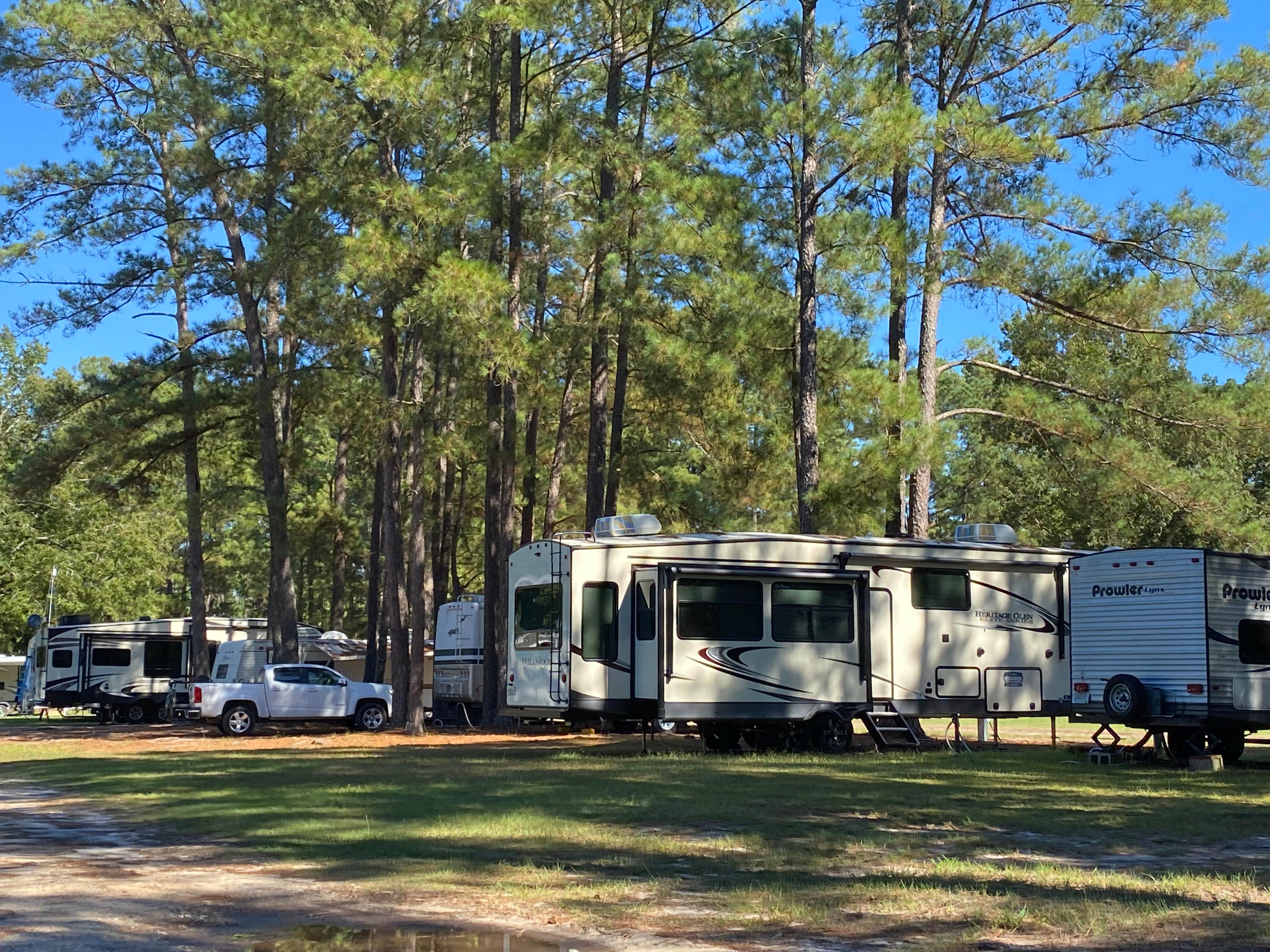 Camper-submitted photo at Dillon Bass Lake near Nichols, SC