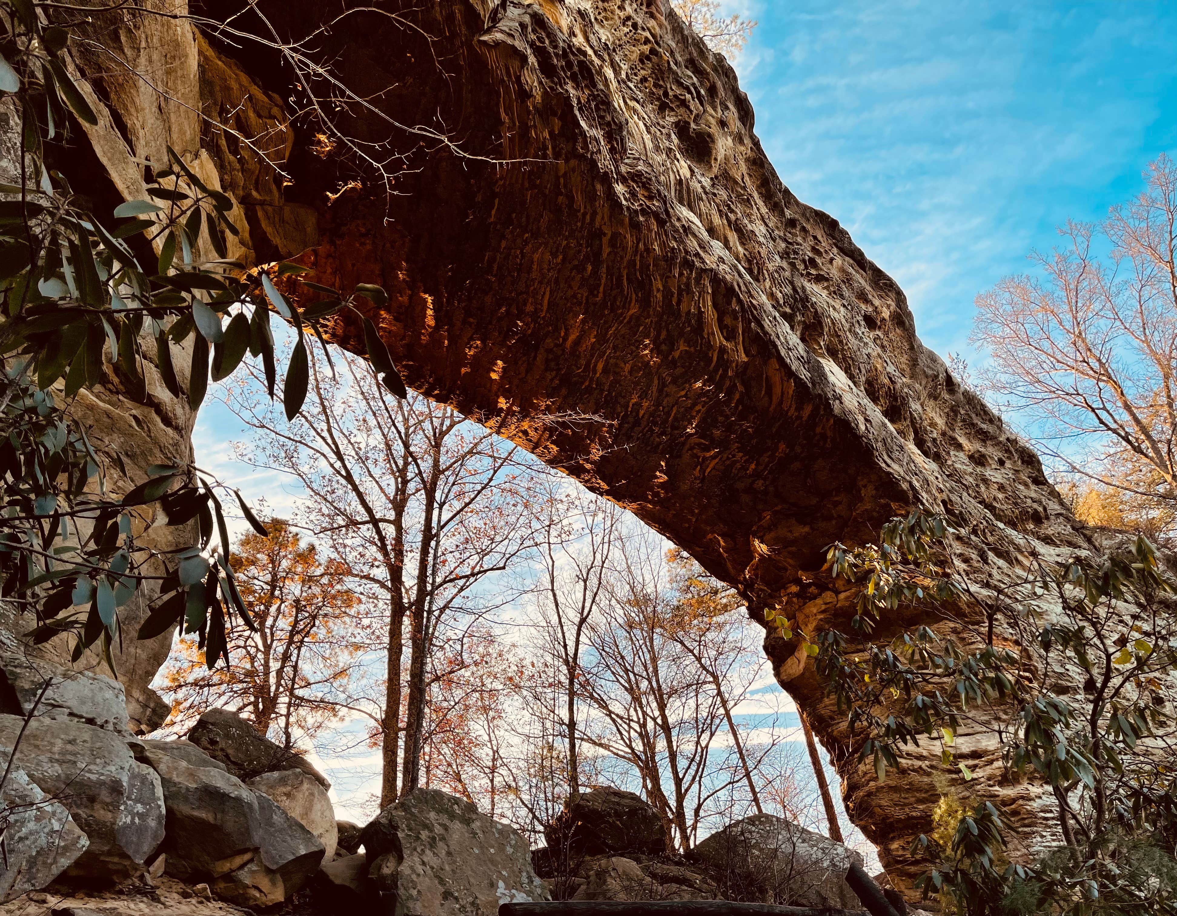 Camper-submitted photo at 4 Guys RV Park at Red River Gorge near Beattyville, KY