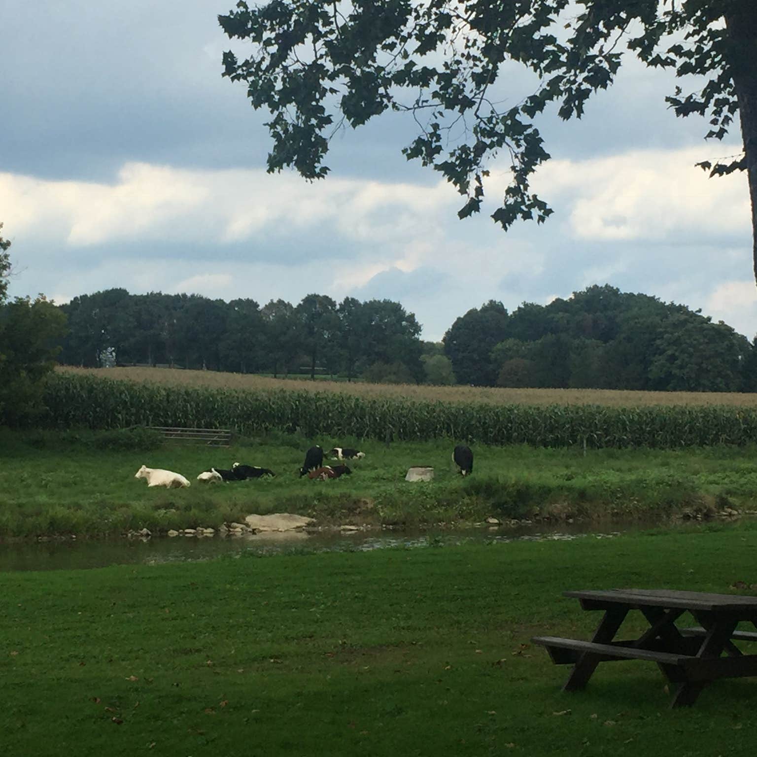 Mill Bridge Village & Camp Resort Camping The Dyrt