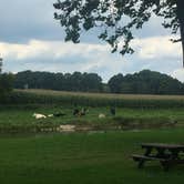 Review photo of Mill Bridge Village & Camp Resort by Beth M., July 8, 2018