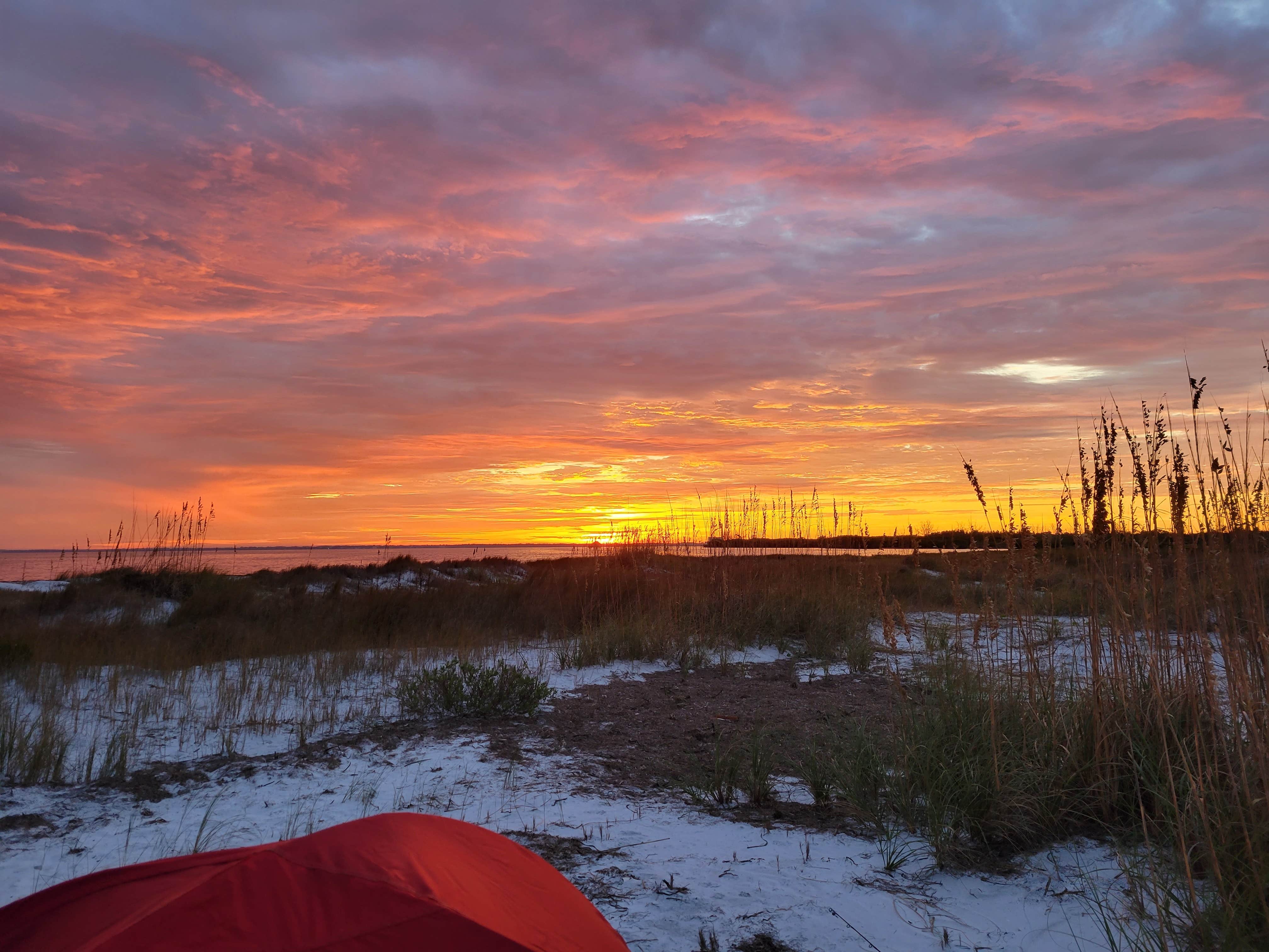 mandy P.'s photo of a dispersed camping area at Anclote Key Preserve State Park Campground near Tampa, FL