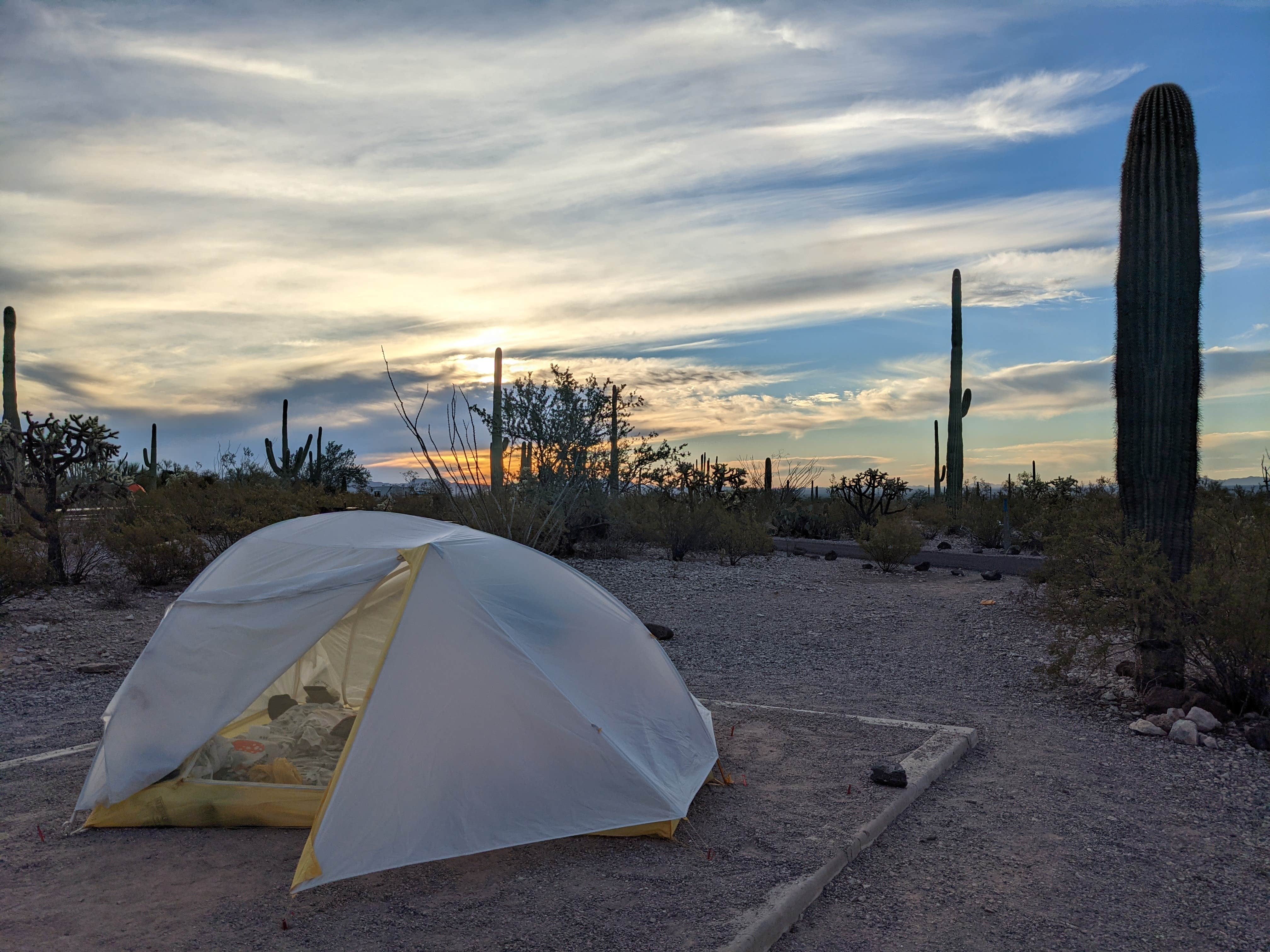 Becbecandbunny O.'s photo at Twin Peaks Campground — Organ Pipe Cactus National Monument near Ajo, AZ