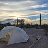 Review photo of Twin Peaks Campground — Organ Pipe Cactus National Monument by Becbecandbunny O., December 1, 2021