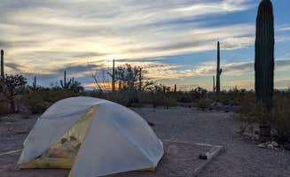 Becbecandbunny O.'s photo at Twin Peaks Campground — Organ Pipe Cactus National Monument near Organ Pipe Cactus National Monument
