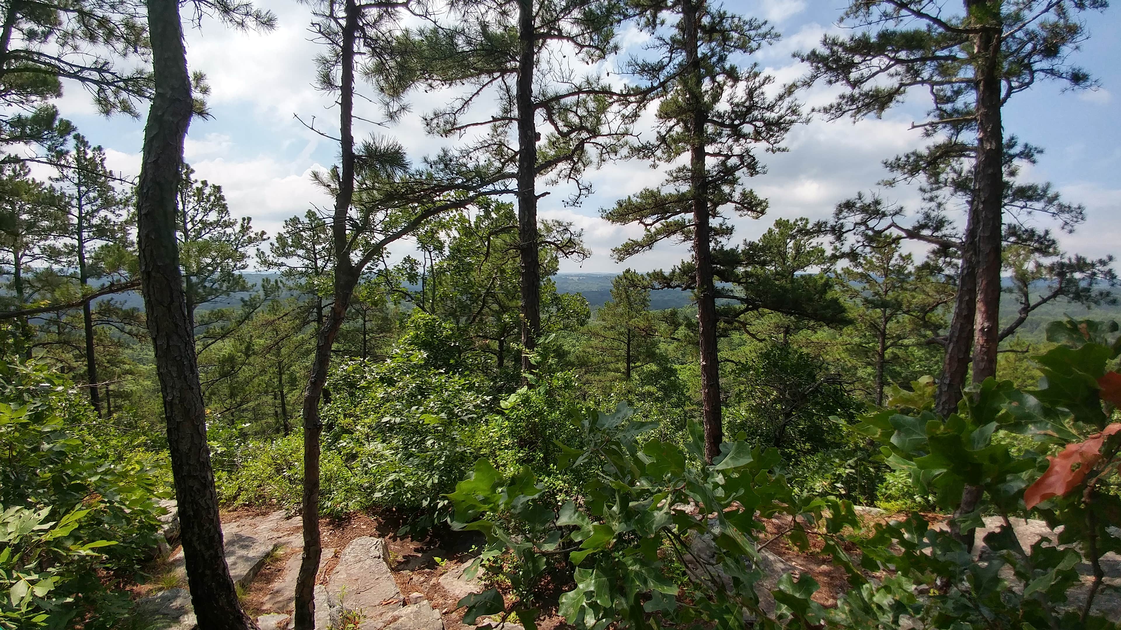 Camper submitted image from Hawn State Park Campground - 2