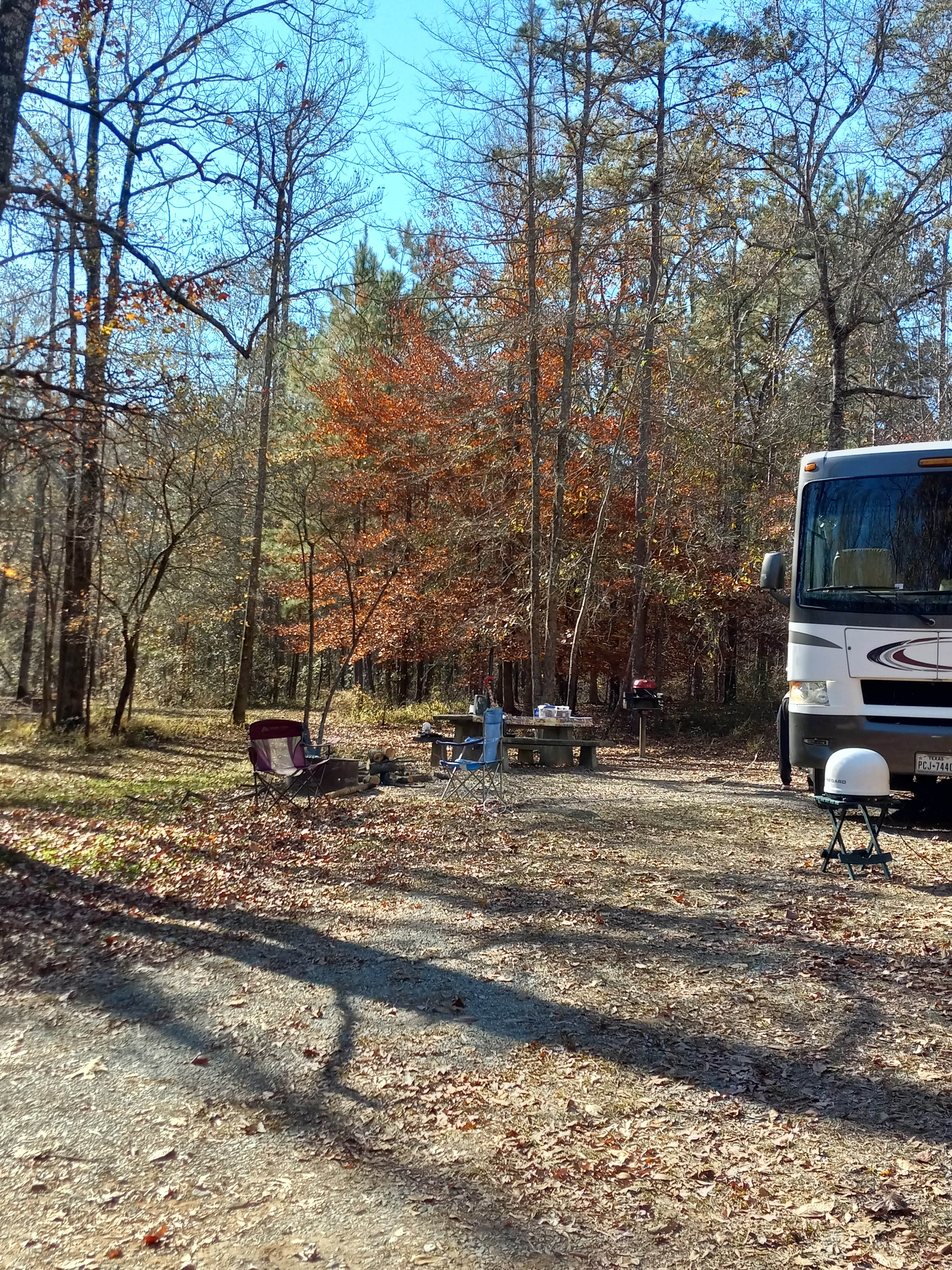 Camper submitted image from Lake Sinclair Campground - 5