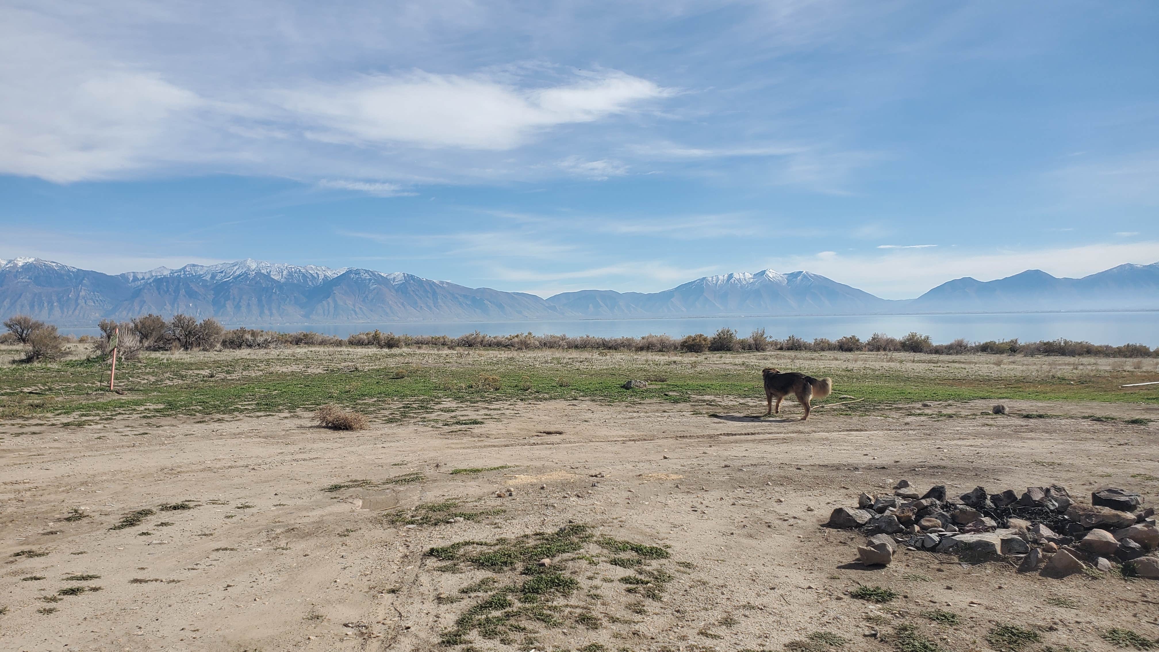 Camper submitted image from Miner's Canyon Dispersed - 2