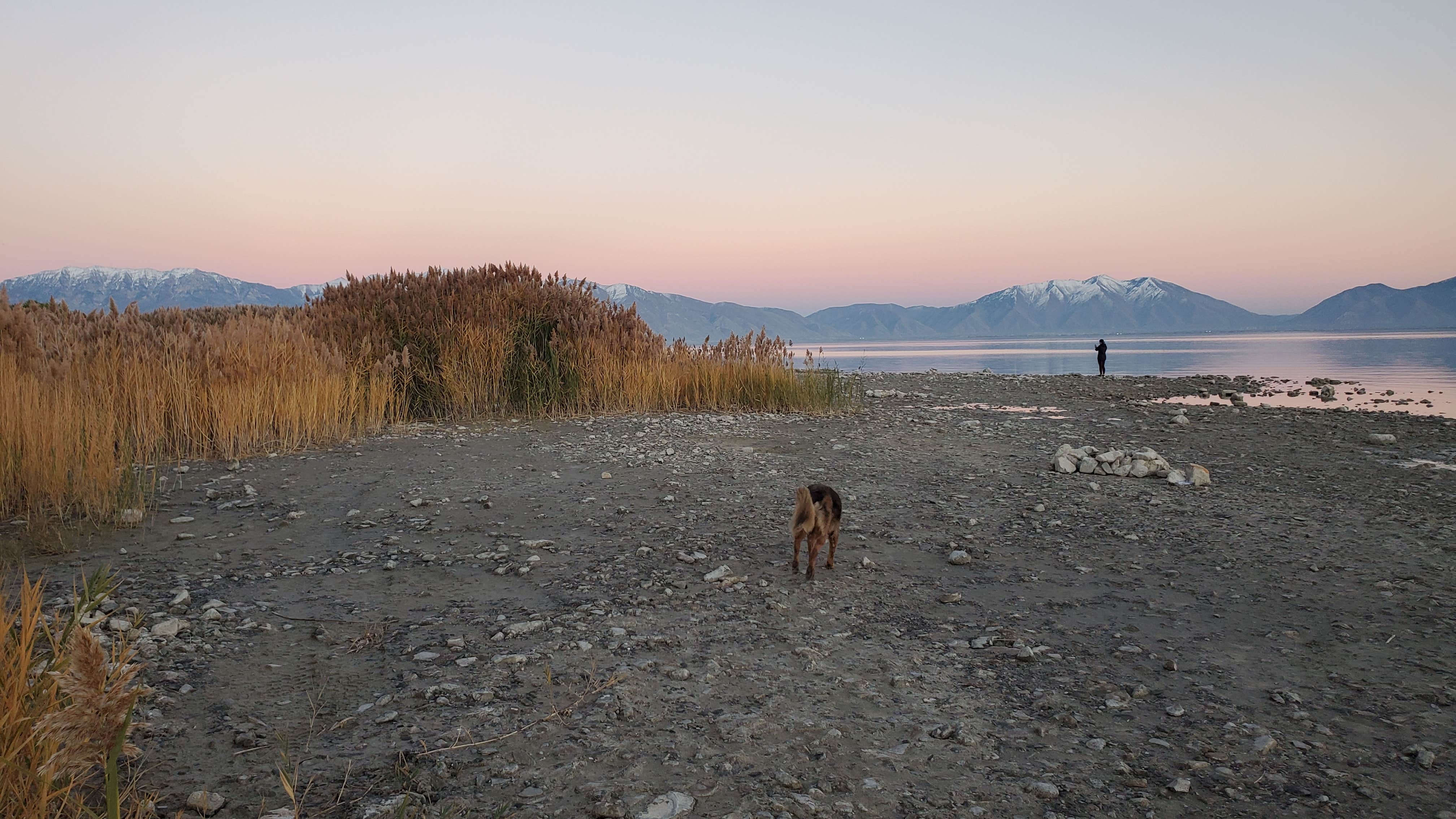 Connor N.'s photo of camping with pets at Miner's Canyon Dispersed near Tooele, UT