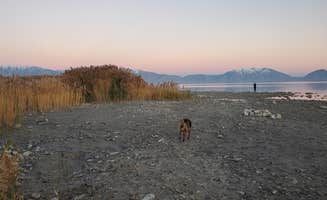 Connor N.'s photo of camping with pets at Miner's Canyon Dispersed near Santaquin, UT
