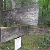 Review photo of Cades Cove Campground by Kirsten J., July 8, 2018