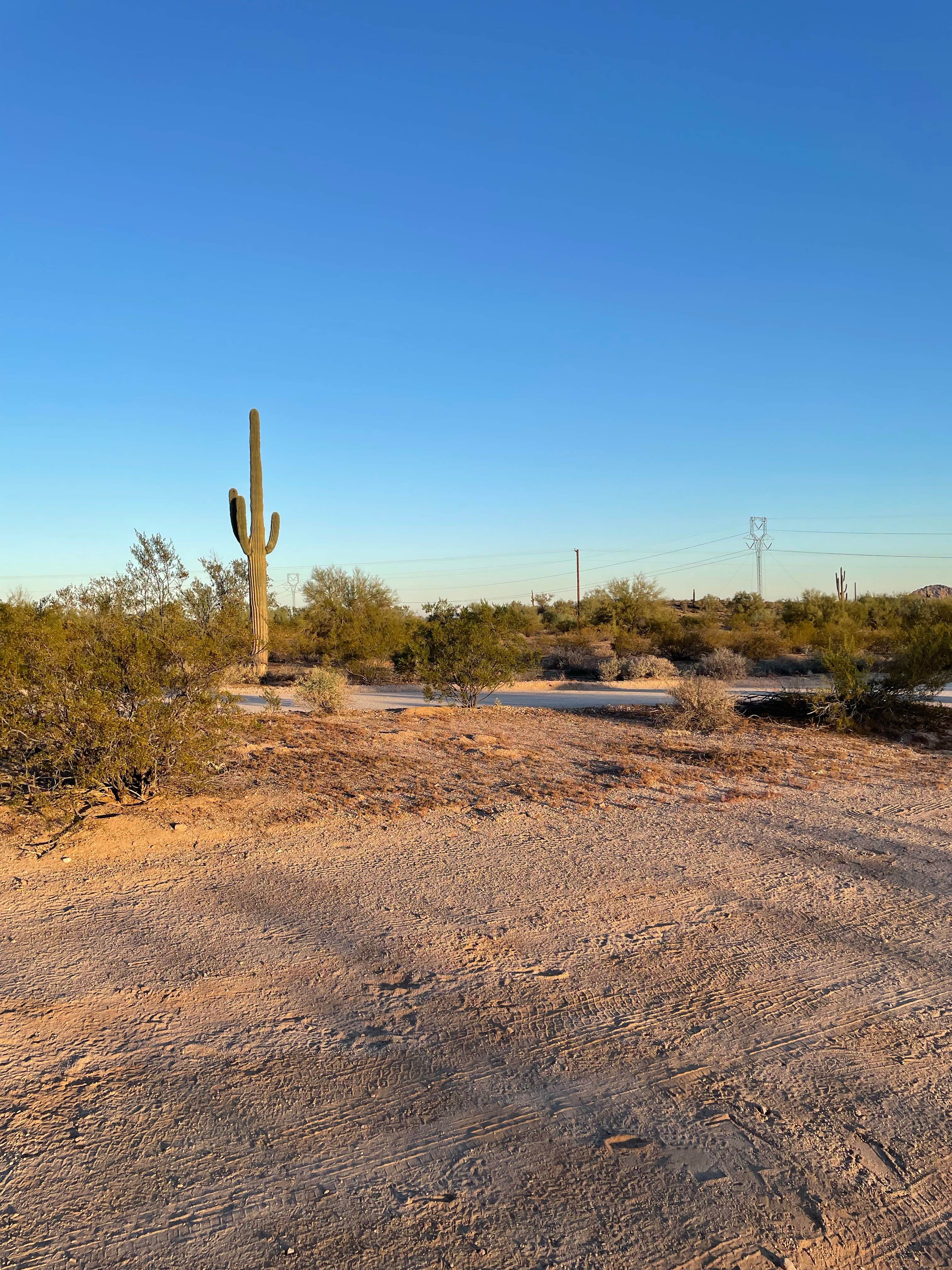 Camper submitted image from West Pinal County Park - 3