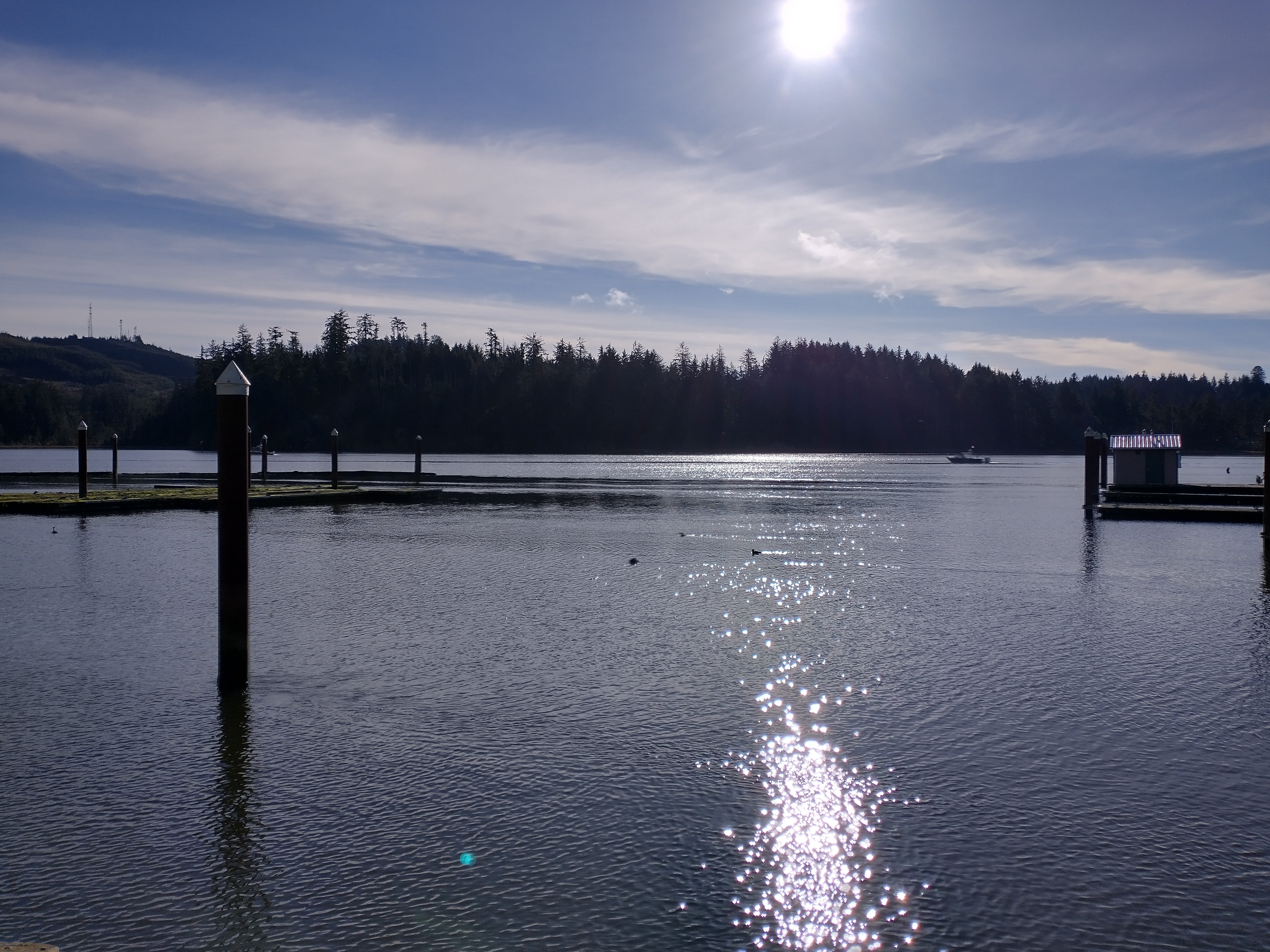 Camper submitted image from Port of Siuslaw Campground & Marina - 5