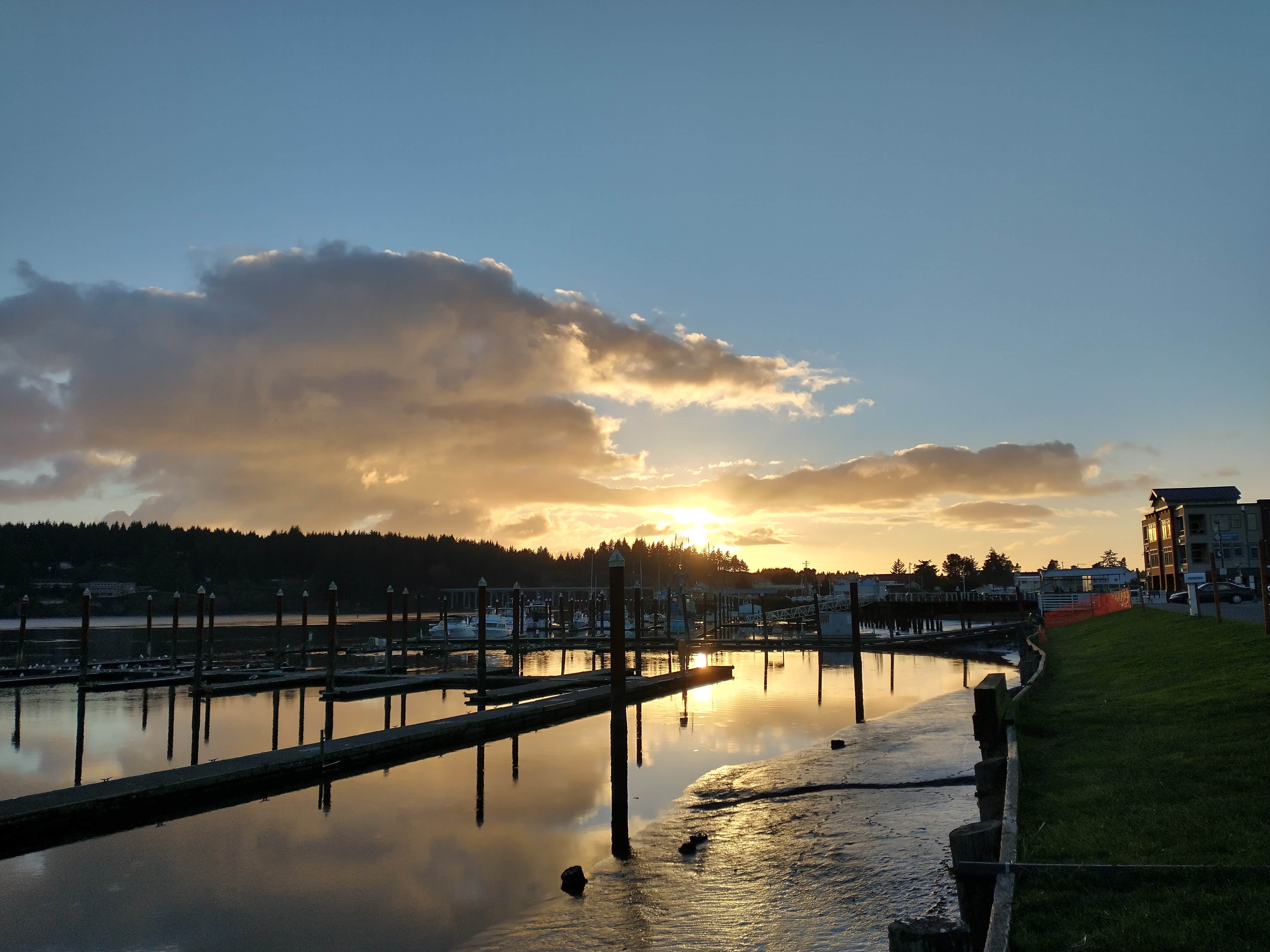 Camper submitted image from Port of Siuslaw Campground & Marina - 4