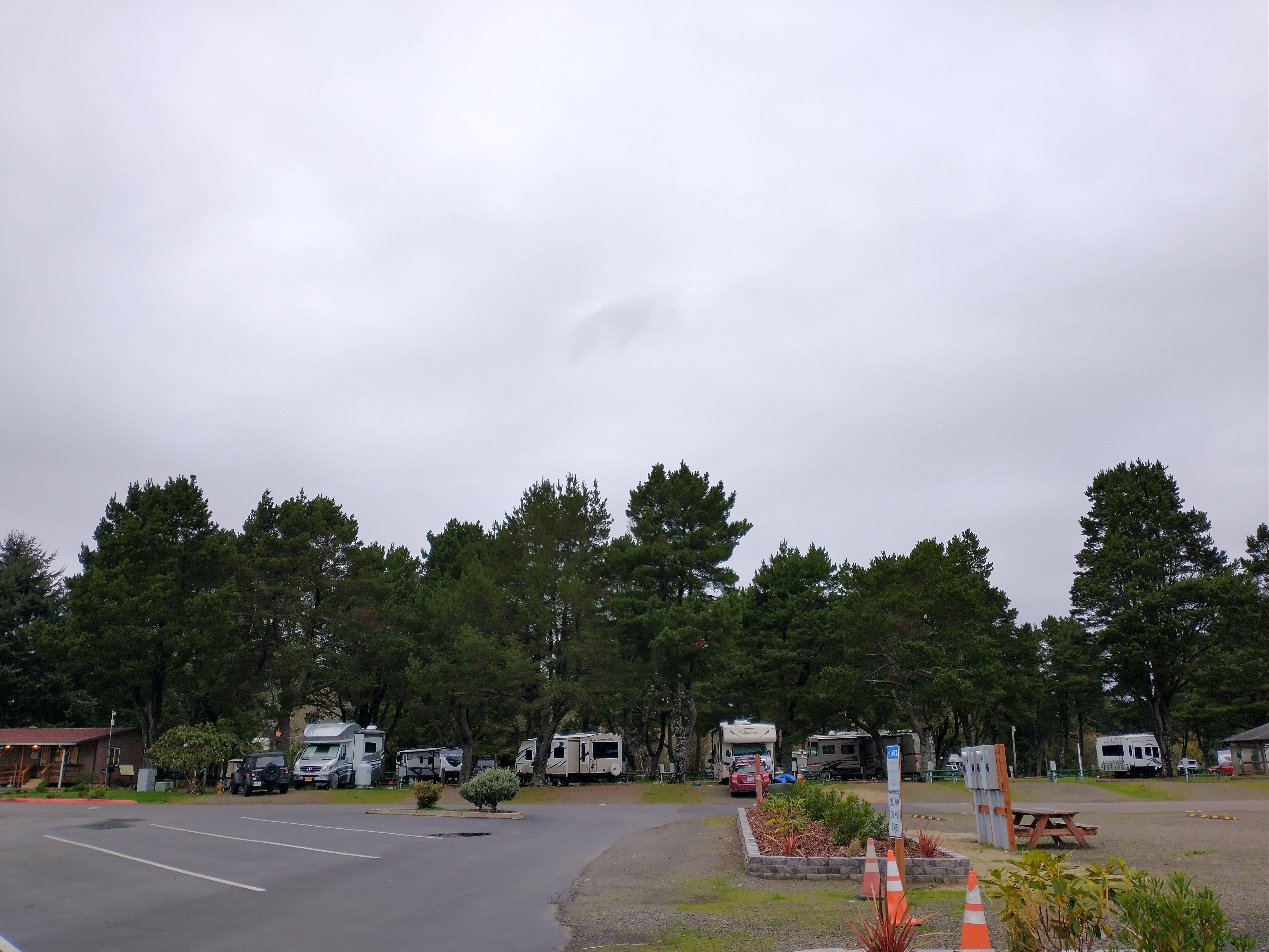 Camper submitted image from Port of Siuslaw Campground & Marina - 4