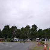 Review photo of Port of Siuslaw Campground & Marina by franki A., December 2, 2021