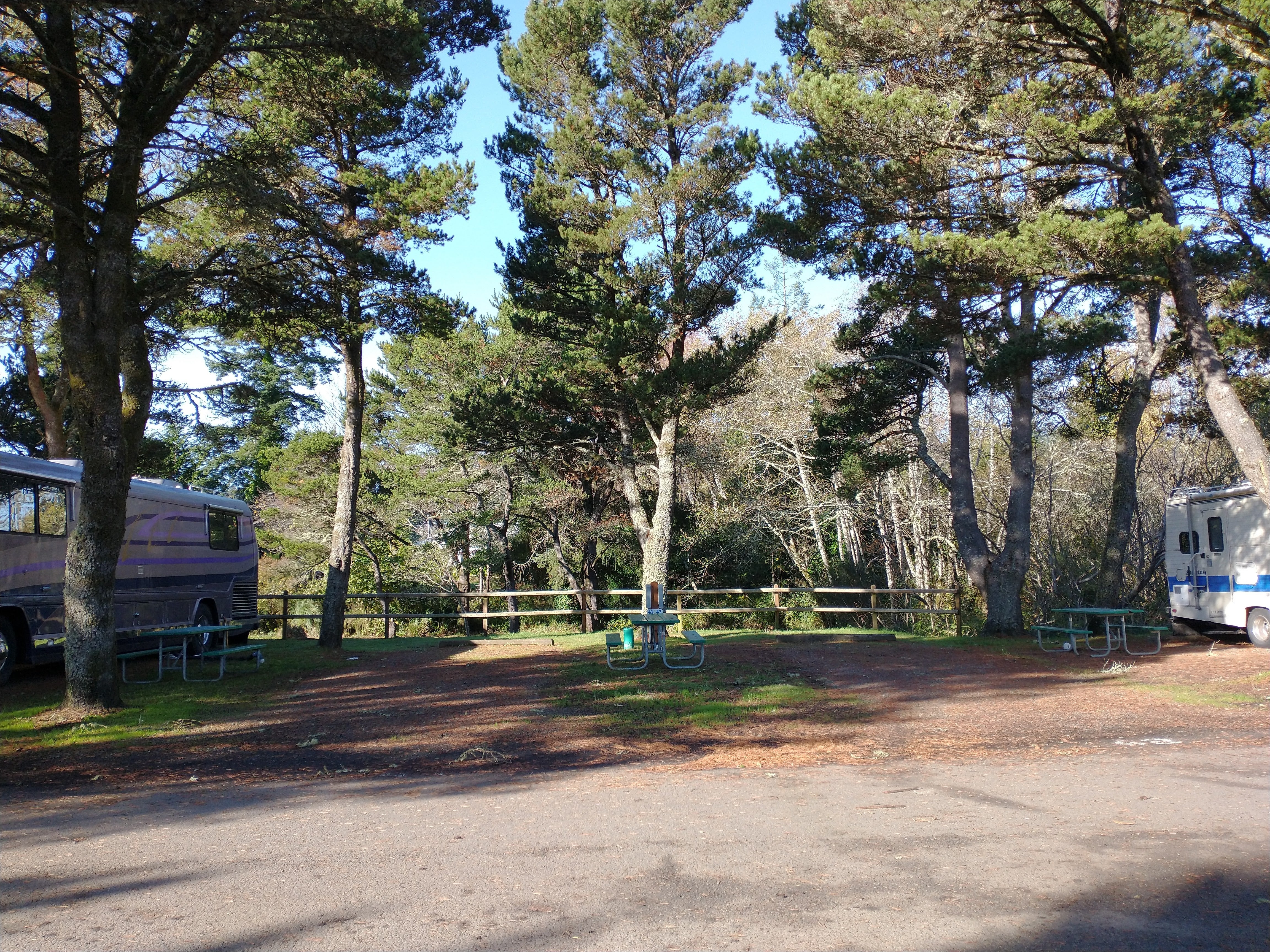 Camper submitted image from Port of Siuslaw Campground & Marina - 2