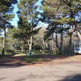 Review photo of Port of Siuslaw Campground & Marina by franki A., December 2, 2021