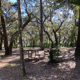 Review photo of Serenova Tract Campsites by Kim S., December 2, 2021
