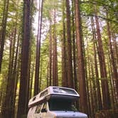 Review photo of Burlington Campground — Humboldt Redwoods State Park by Dave S., December 2, 2021