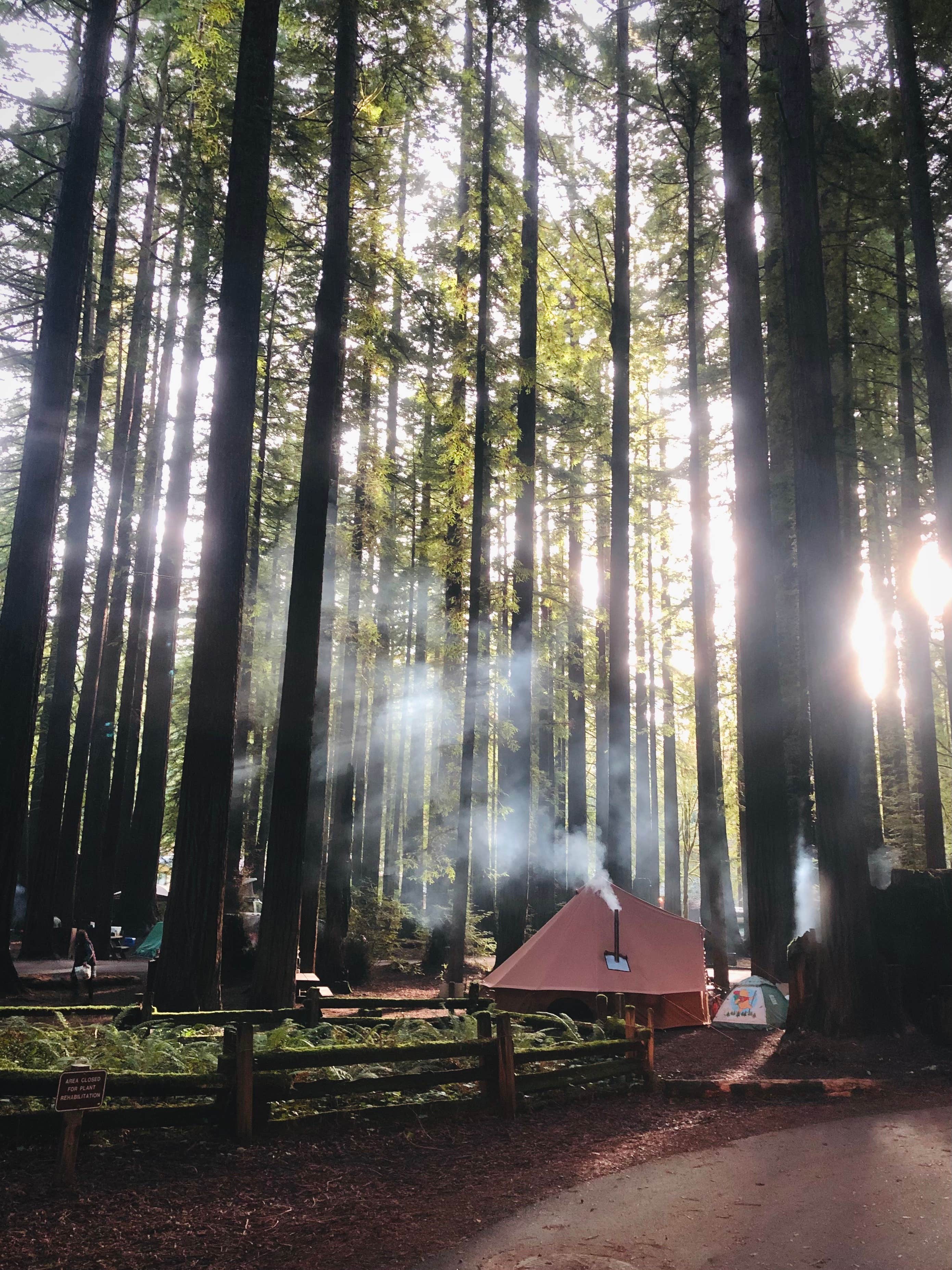 Dave S.'s photo at Burlington Campground — Humboldt Redwoods State Park near Carlotta, CA