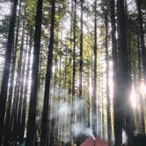 Review photo of Burlington Campground — Humboldt Redwoods State Park by Dave S., December 2, 2021