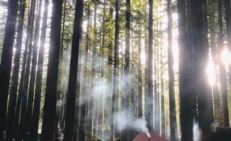 Dave S.'s photo at Burlington Campground — Humboldt Redwoods State Park near Carlotta, CA
