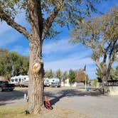 Review photo of Red Barn RV Park by Steve N., December 2, 2021