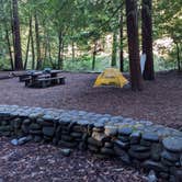 Review photo of Jedidiah Smith Campground — Redwood National Park by Leandra P., December 2, 2021