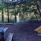 Review photo of Jedidiah Smith Campground — Redwood National Park by Leandra P., December 2, 2021